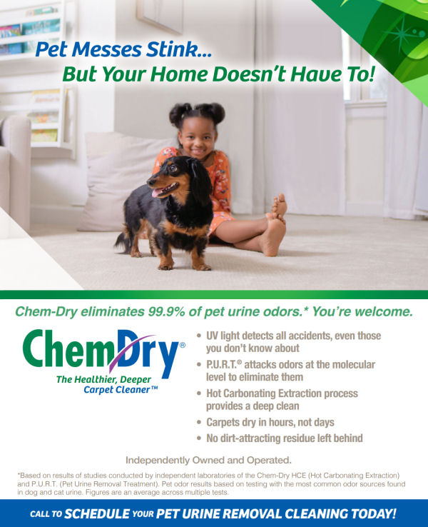 Professional Carpet, Upholstery, Tile and Curtain Cleaning Professional Cleaning Services